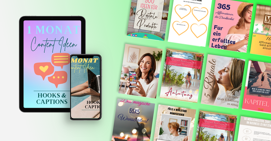 Was sind PLR und MRR Produkte?