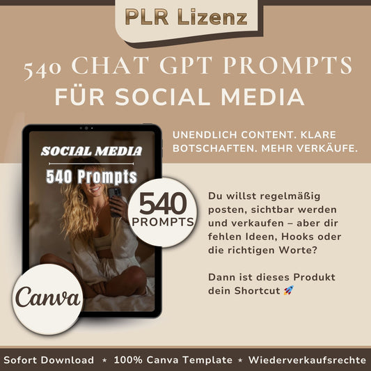 Chat GPT Prompts für Social Media PLR