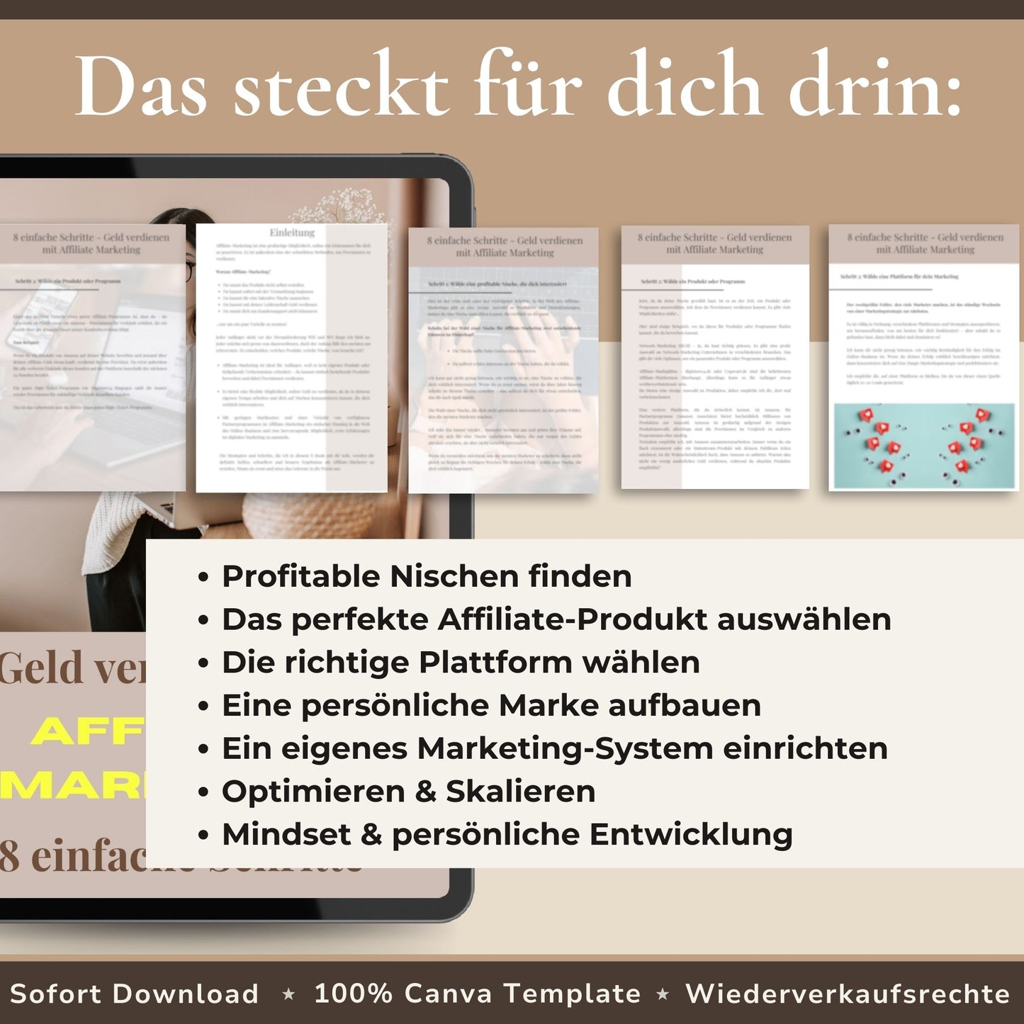 Geld verdienen mit Affiliate Marketing – 8 einfache Schritte, PLR Produkt